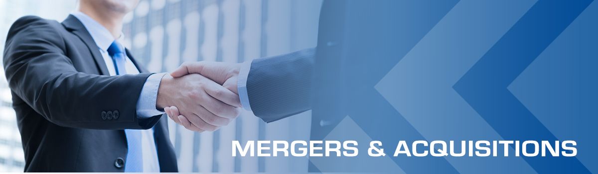 Logivest Newsletter - Mergers and Acquisitions