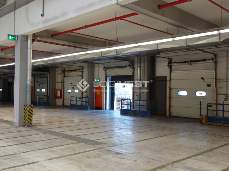 Logivest - Musterbild von Industriehalle – 14105