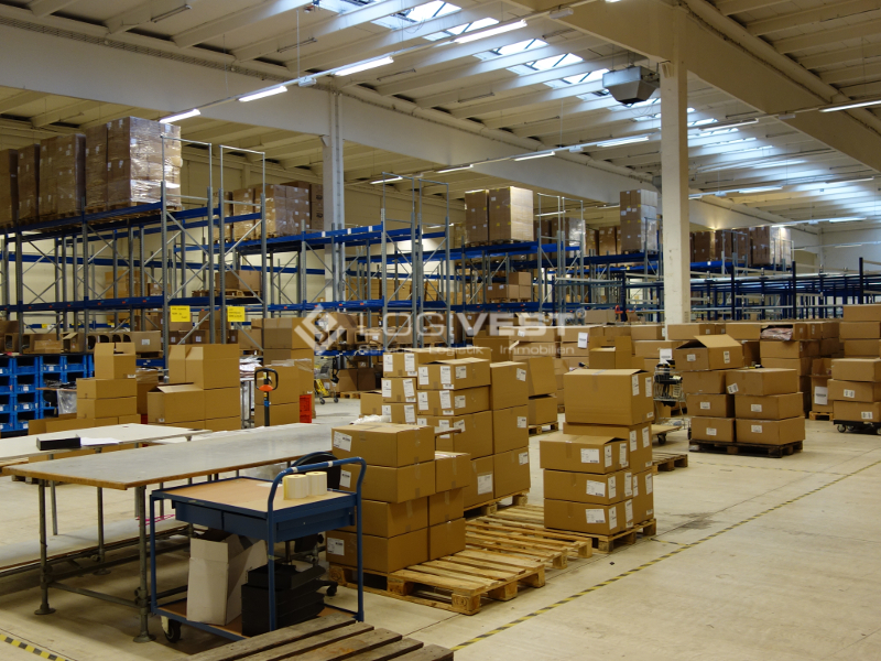 Logivest - Bild von Miethalle – 15254