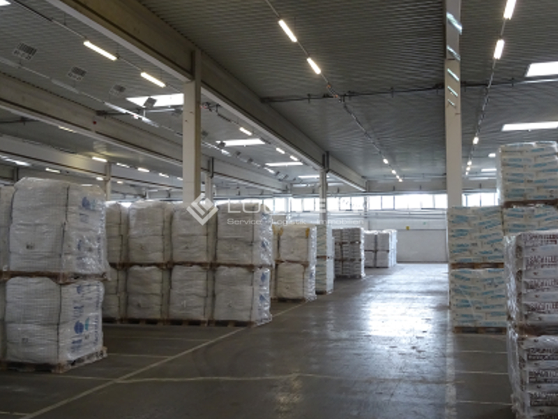 Logivest - Bild von Miethalle – 17479