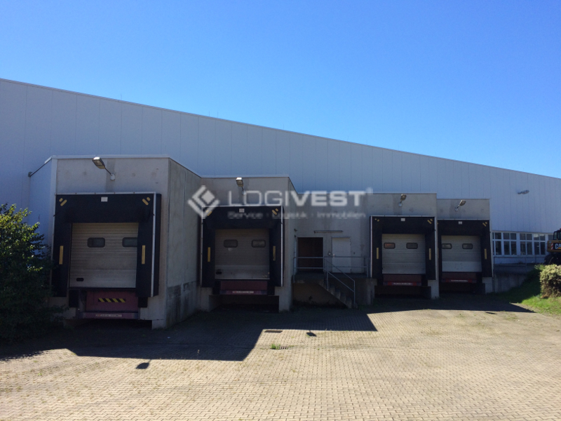 Logivest - Vorschaubild von Produktionshalle – 18285