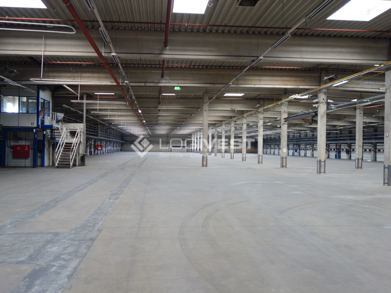 Logivest - Bild von Lagerhalle – 19259