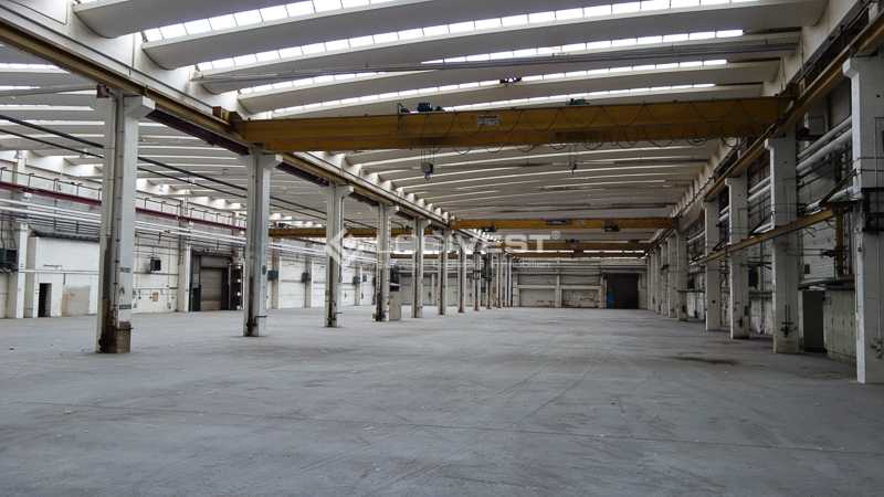 Logivest - Musterbild von Industriehalle – 19903