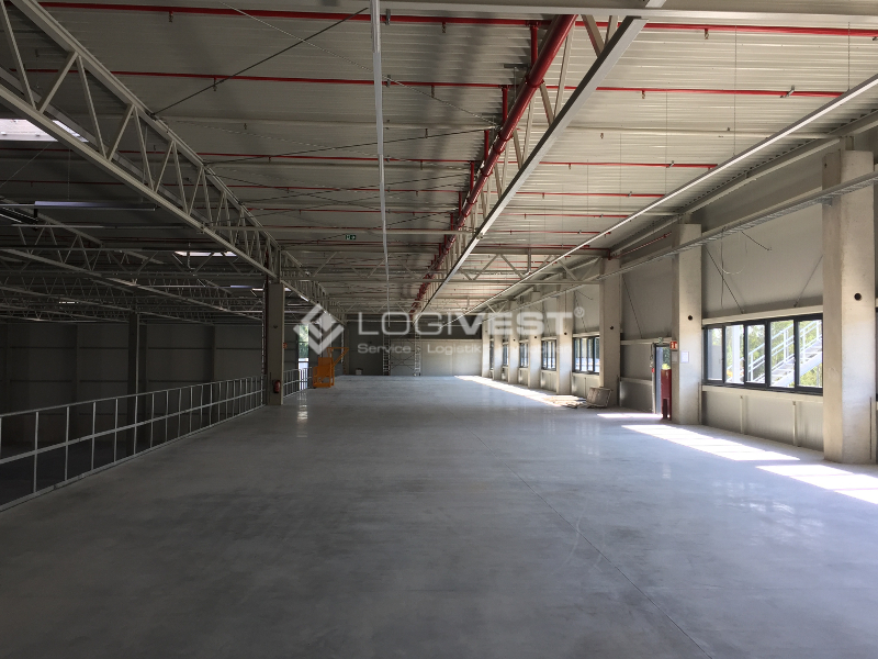 Logivest - Musterbild von Industriehalle – 24302