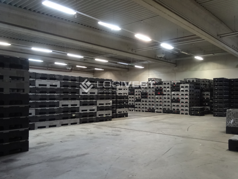 Logivest - Musterbild von Industriehalle – 24807