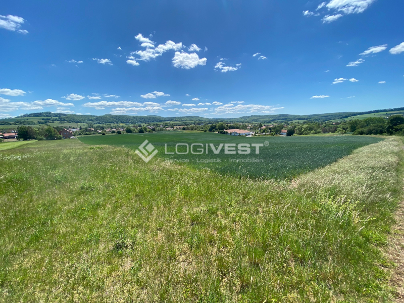 Logivest - Musterbild von Lagerfläche – 33523