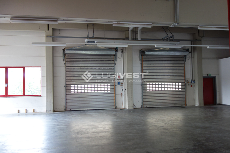 Logivest - Bild von Miethalle – 35159