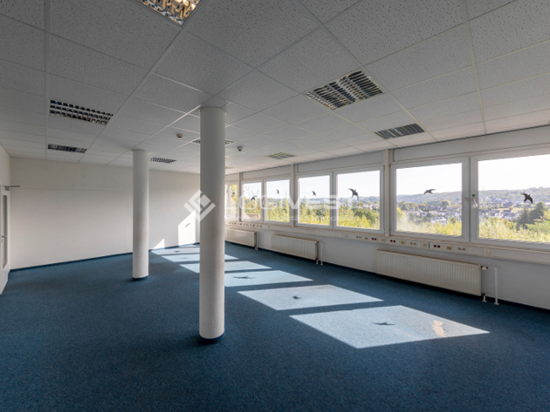 Logivest - Bild von Produktionshalle – 35676