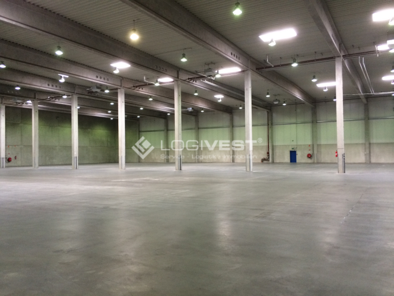 Logivest - Vorschaubild von Miethalle – 37922