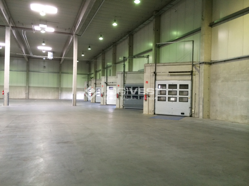 Logivest - Bild von Miethalle – 37922