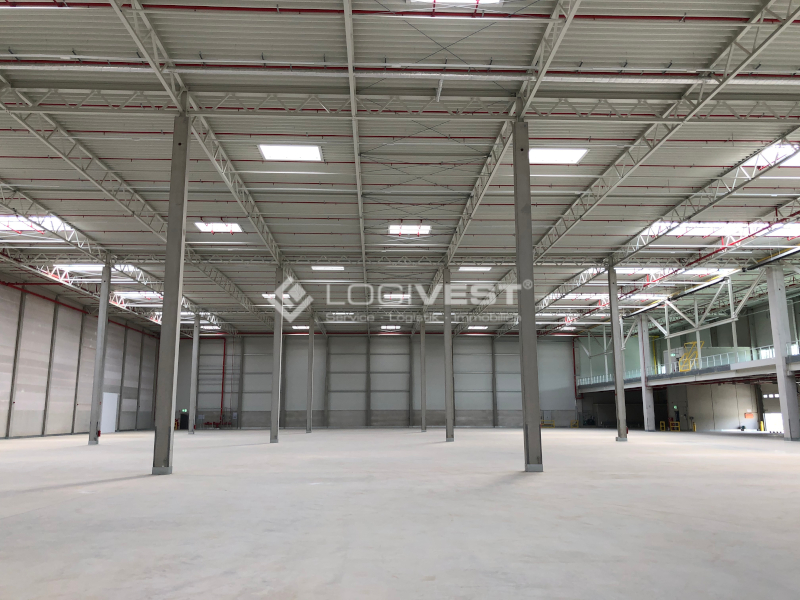 Logivest - Musterbild von Miethalle – 39377