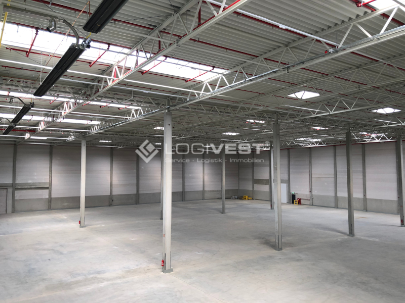 Logivest - Musterbild von Miethalle – 39378