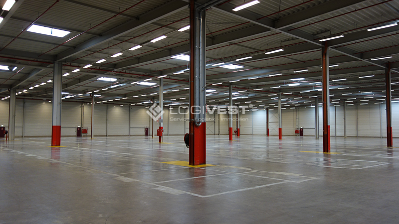 Logivest - Musterbild von Miethalle – 64063