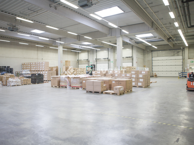 Logivest - Musterbild von Miethalle – 64961