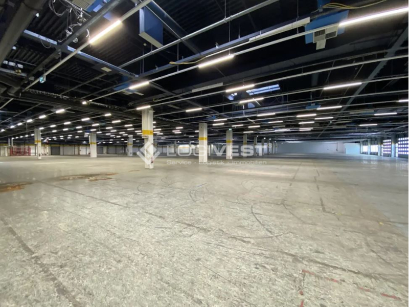 Logivest - Musterbild von Gewerbehalle – 65014