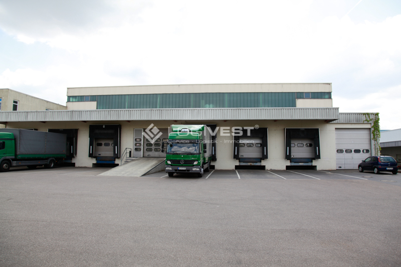 Logivest - Musterbild von Lagerhalle – 65074