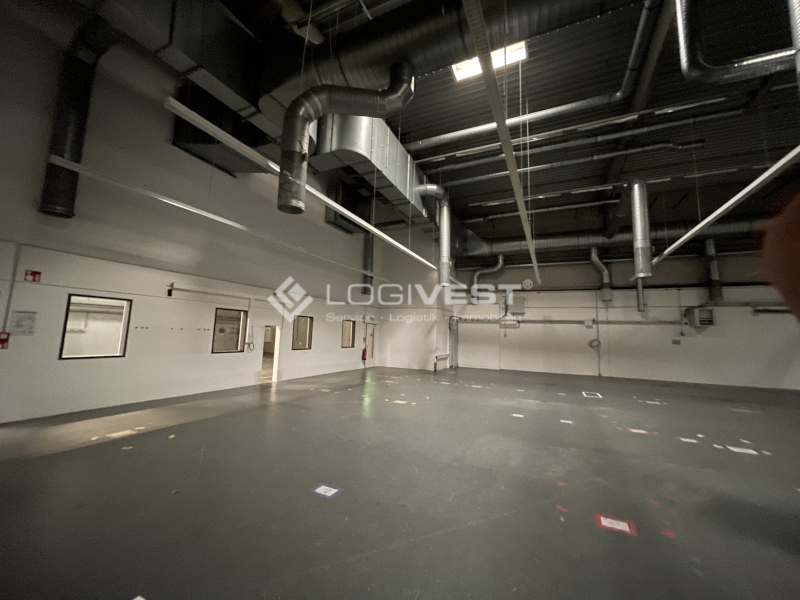 Logivest - Bild von Miethalle – 65216