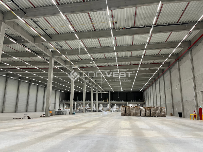 Logivest - Musterbild von Miethalle – 65474