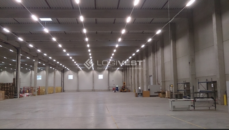 Logivest - Beispiel von Industriehalle – 66161