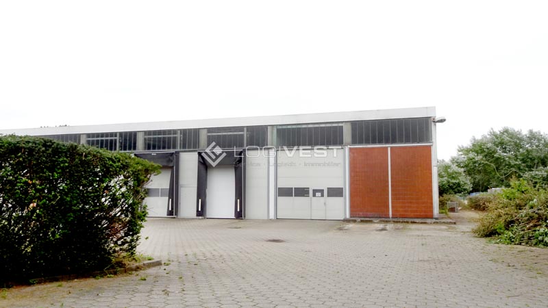 Logivest - Beispiel von Miethalle – 67579