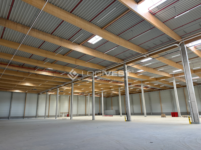 Logivest - Musterbild von Miethalle – 67903