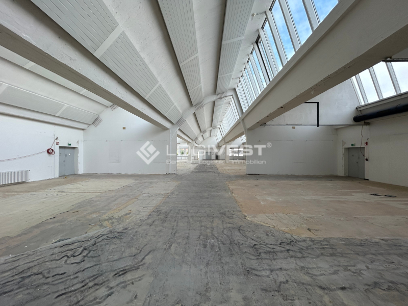 Logivest - Beispiel von Miethalle – 70989