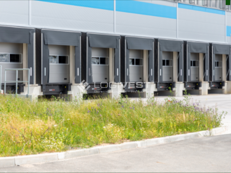 Logivest - Bild von Lagerhalle – 77491
