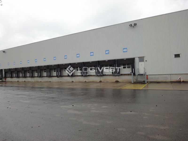 Logivest - Bild von Industriehalle – 78909