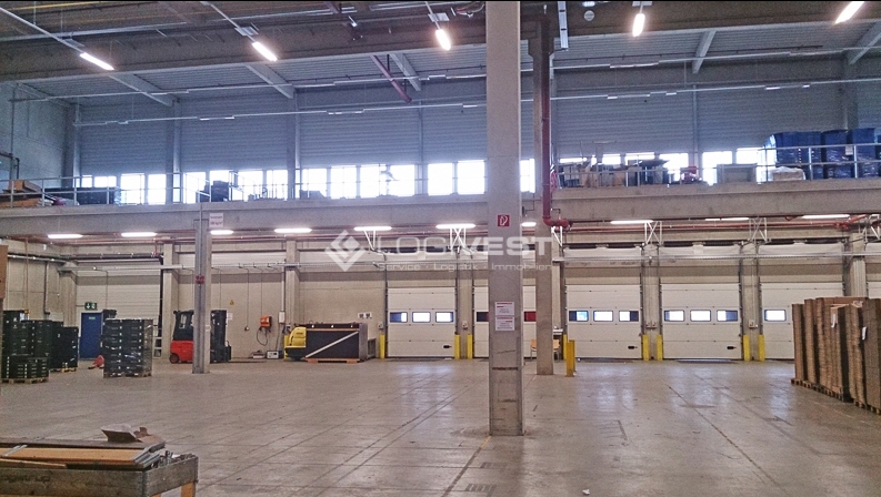 Logivest - Musterbild von Industriehalle – 79036