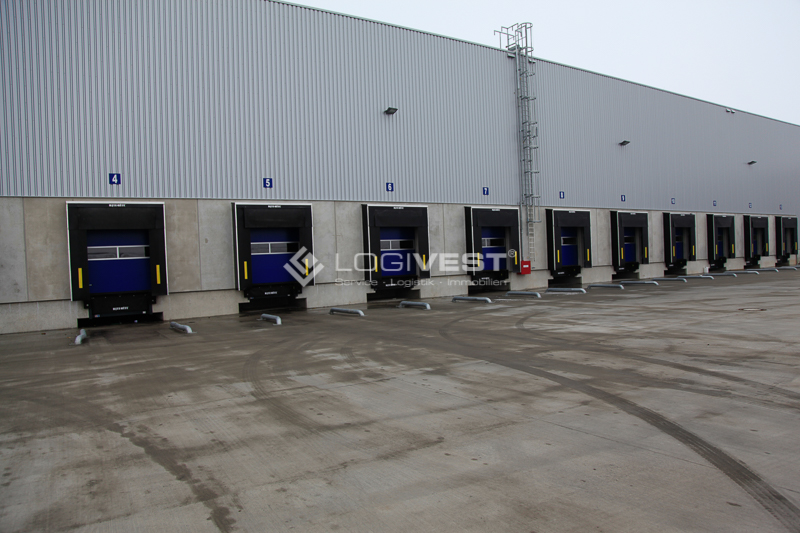 Logivest - Musterbild von Lagerhalle – 80193