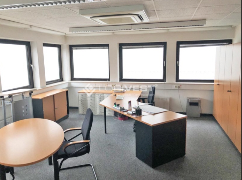 Logivest - Bild von Miethalle – 80678