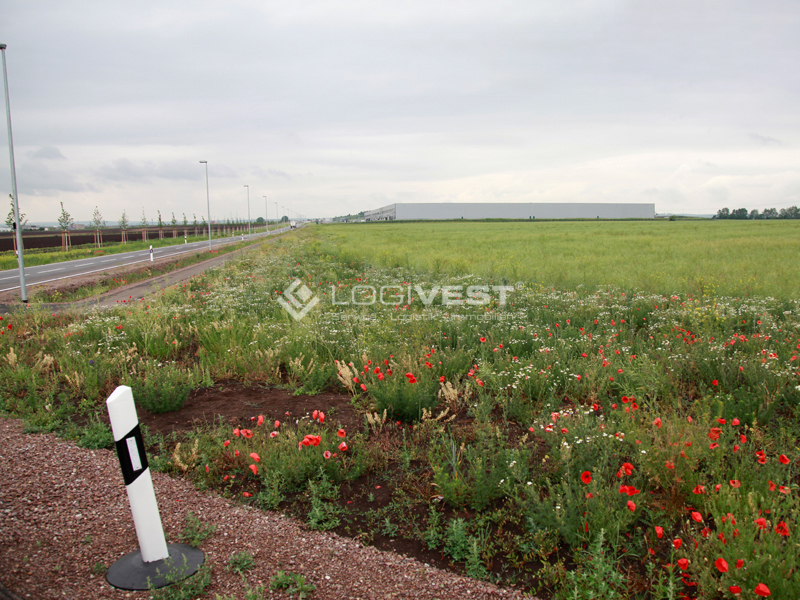 Logivest - Musterbild von Grundstück – 83415