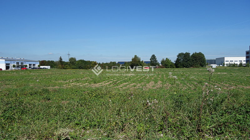 Logivest - Bild von Produktionshalle – 84860