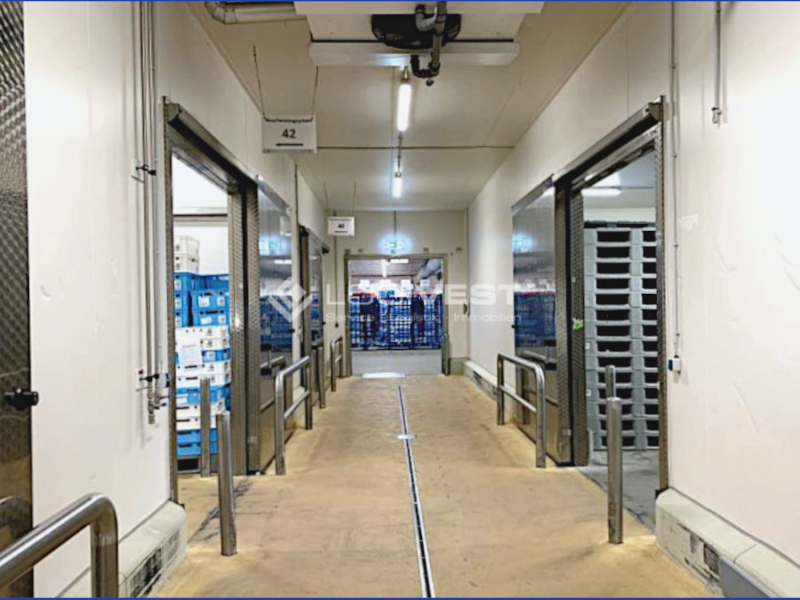 Logivest - Bild von Produktionshalle – 86583