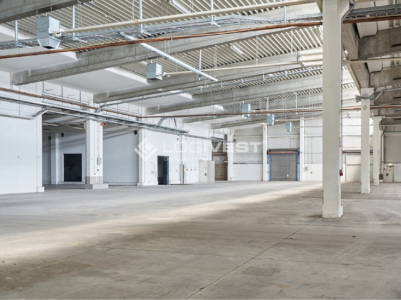 Logivest - Musterbild von Produktionshalle – 87923