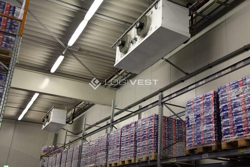 Logivest - Musterbild von Industriehalle – 89190