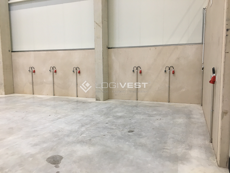 Logivest - Beispiel von Miethalle – 93156