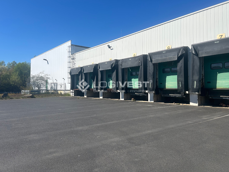 Logivest - Vorschaubild von Produktionshalle – 95339