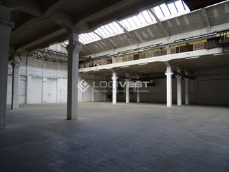 Logivest - Bild von Miethalle – 15492