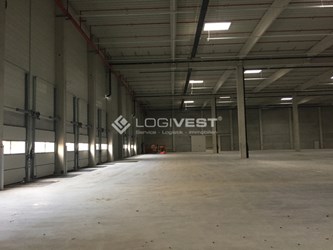 Logivest - Bild von Miethalle – 18625