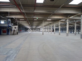 Logivest - Musterbild von Lagerhalle – 19259