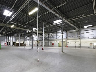Logivest - Bild von Produktionshalle – 19893