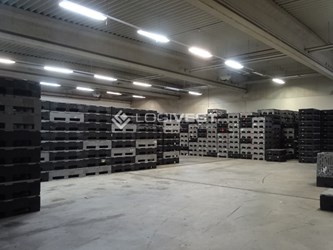 Logivest - Vorschaubild von Industriehalle – 20305