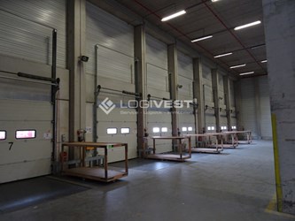 Logivest - Bild von Miethalle – 21697