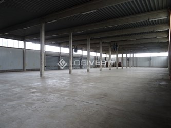 Logivest - Musterbild von Miethalle – 23789