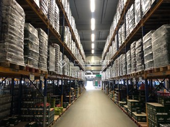 Logivest - Bild von Industriehalle – 49459
