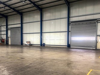 Logivest - Bild von Miethalle – 62357