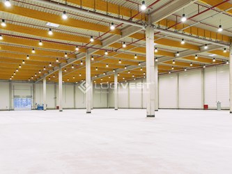 Logivest - Musterbild von Miethalle – 64365