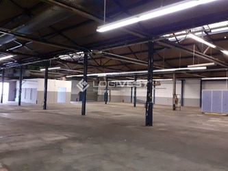 Logivest - Musterbild von Miethalle – 65059