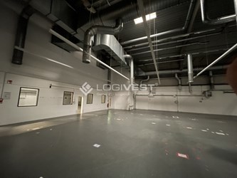 Logivest - Beispiel von Lagerfläche – 65216